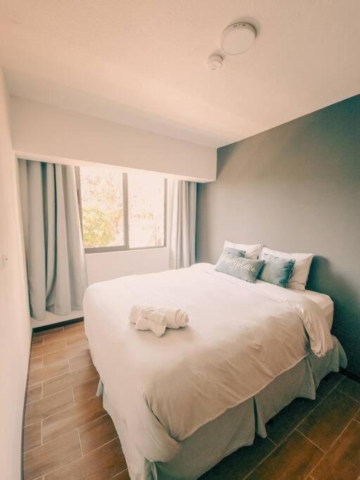 Entire Beautiful Condo With Rooftop Pool And Gym Сан Салвадор Екстериор снимка